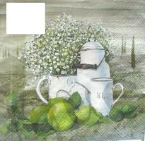 Serviette still life (d309)