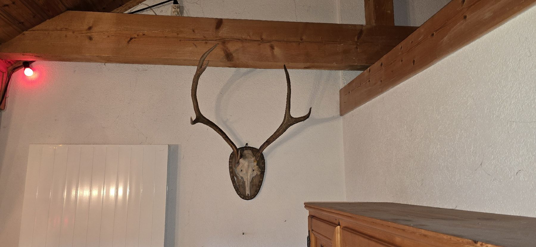 Tutte le decorazioni: Prächtiges Hirschgeweih. Ein Geweih als Wanddeko? – Usato da Zürich venduto da Nadon79 2