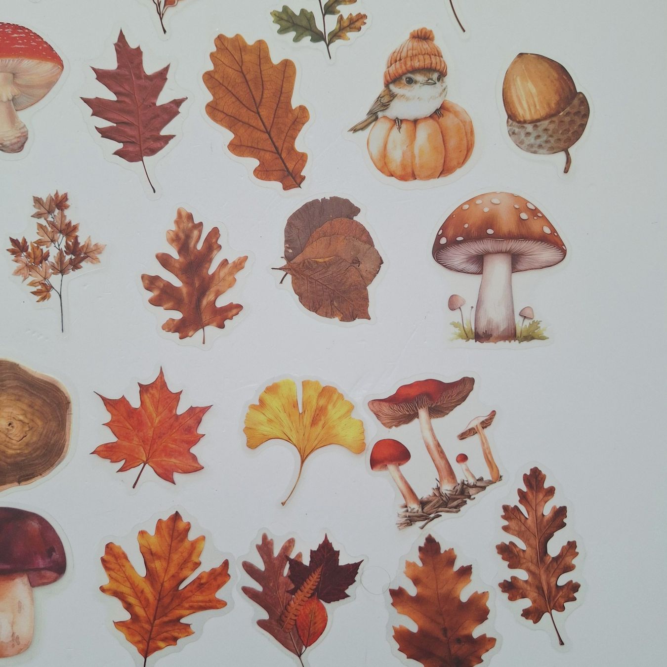 Sticker: 50 Aufkleber Sticker - Herbst – Nuovo e nell'imballaggio originale da Basel venduto da Kunterbunt12 5