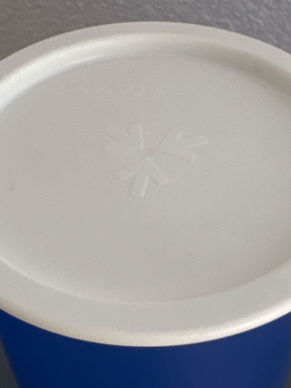 Tupperware Contenitori & Simili: Tupperware Behälter, blau, 2 Stück, 1.25 L**************** – Usato da Ibach venduto da lisch3 2