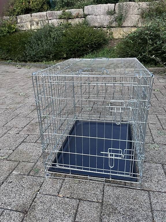 Cages, transport & sécurité: Hundebox  – D'occasion à Niederhasli par JUPOGI 1