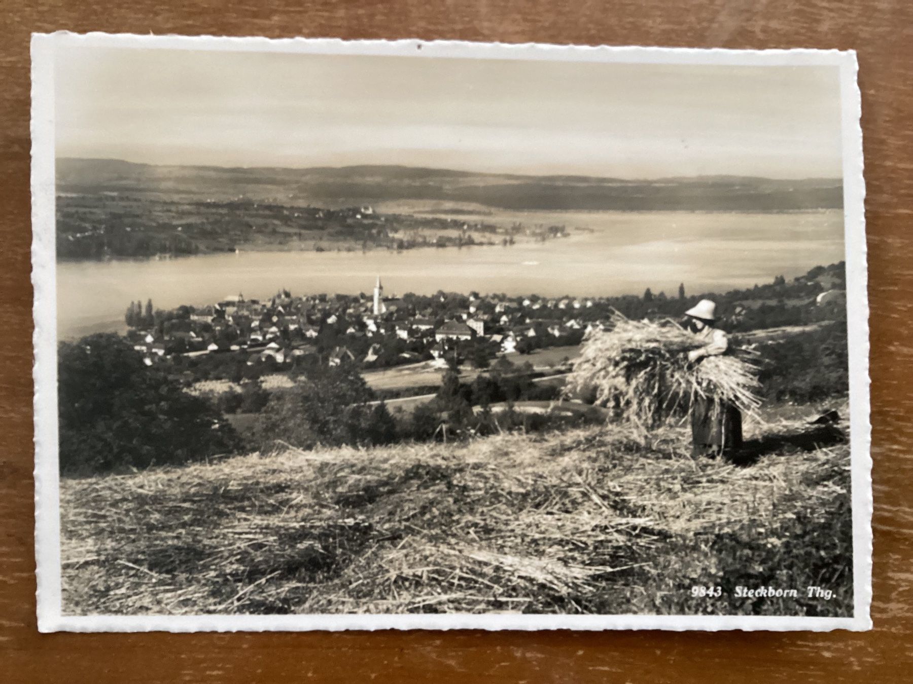 Cartoline postali: AK Steckborn TG – Usato da Zürich venduto da Tolima194