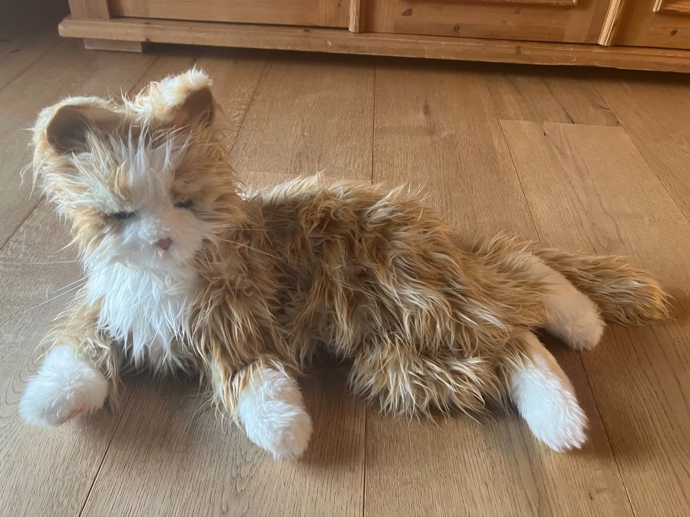 Kuscheltier Fur Katze
