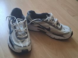 Nike initiatior
