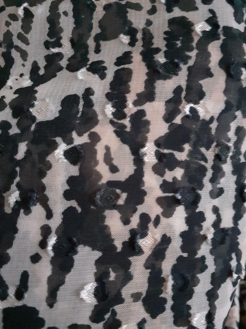 Zara Blusen: Zara sheer blouse – Neu (gemäss Beschreibung) aus Basel von n23_j8jr 3