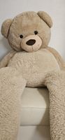 Teddybär Plüschtier