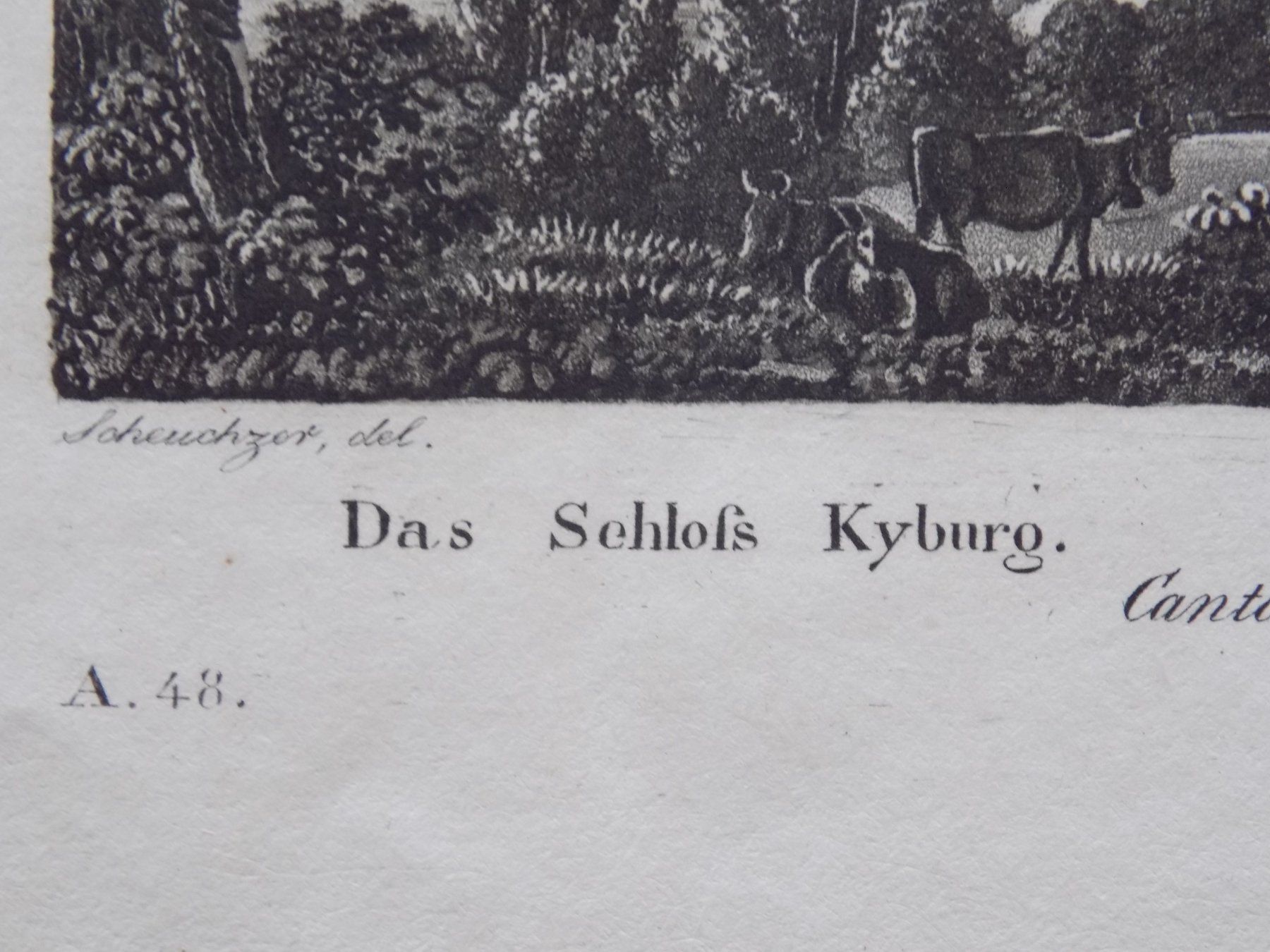 Incisioni: Schloss Kyburg – Usato da Risch venduto da Rischli15 3