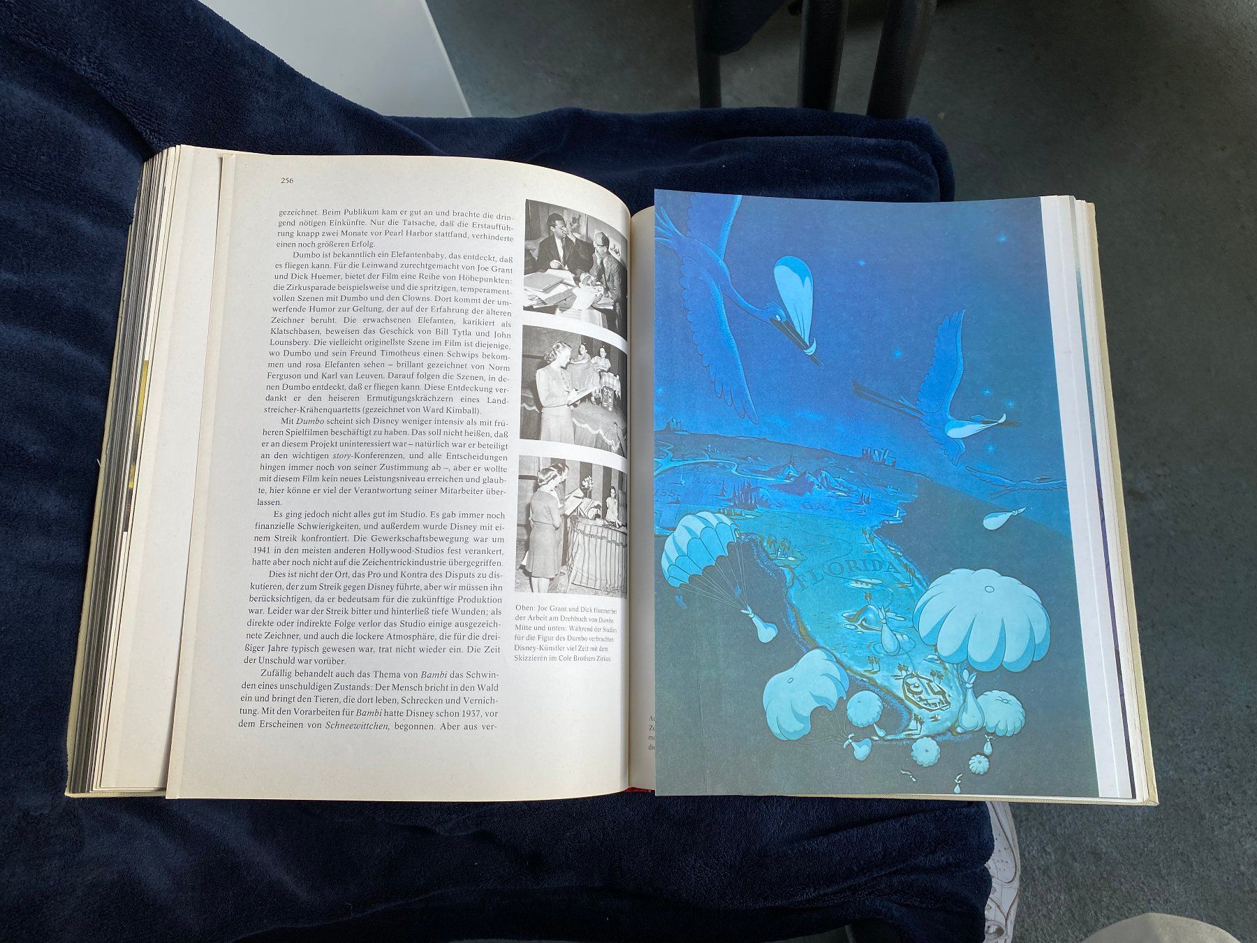 Libri: Walt Disney Sein Leben Seine Kunst – Usato da Zürich venduto da Pyramid1 6