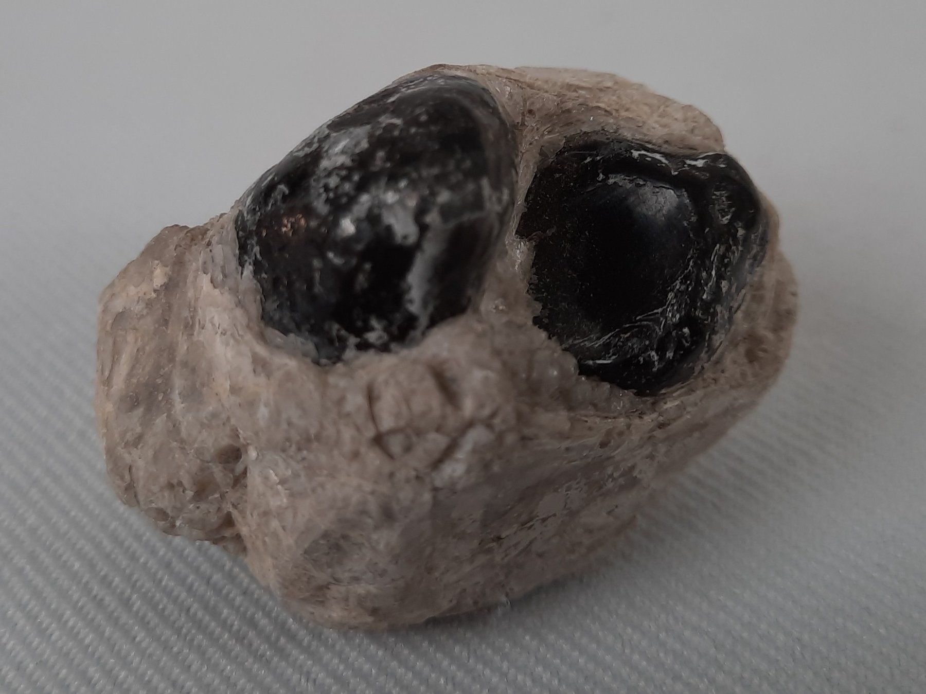 Bicchieri: Glas mit Steinen – Usato da Beinwil am See venduto da Restwert_Beinwil 3