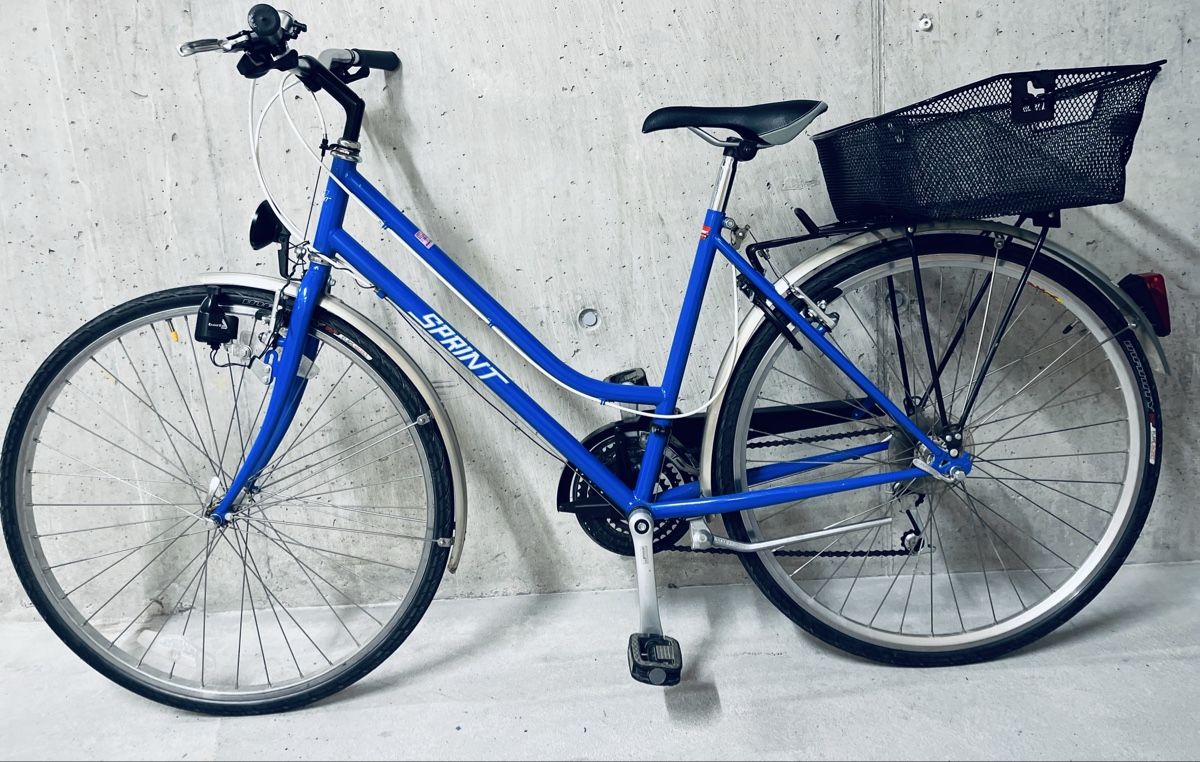 Biciclette: Damen Velo – Usato da Zürich venduto da Bidon3011 8