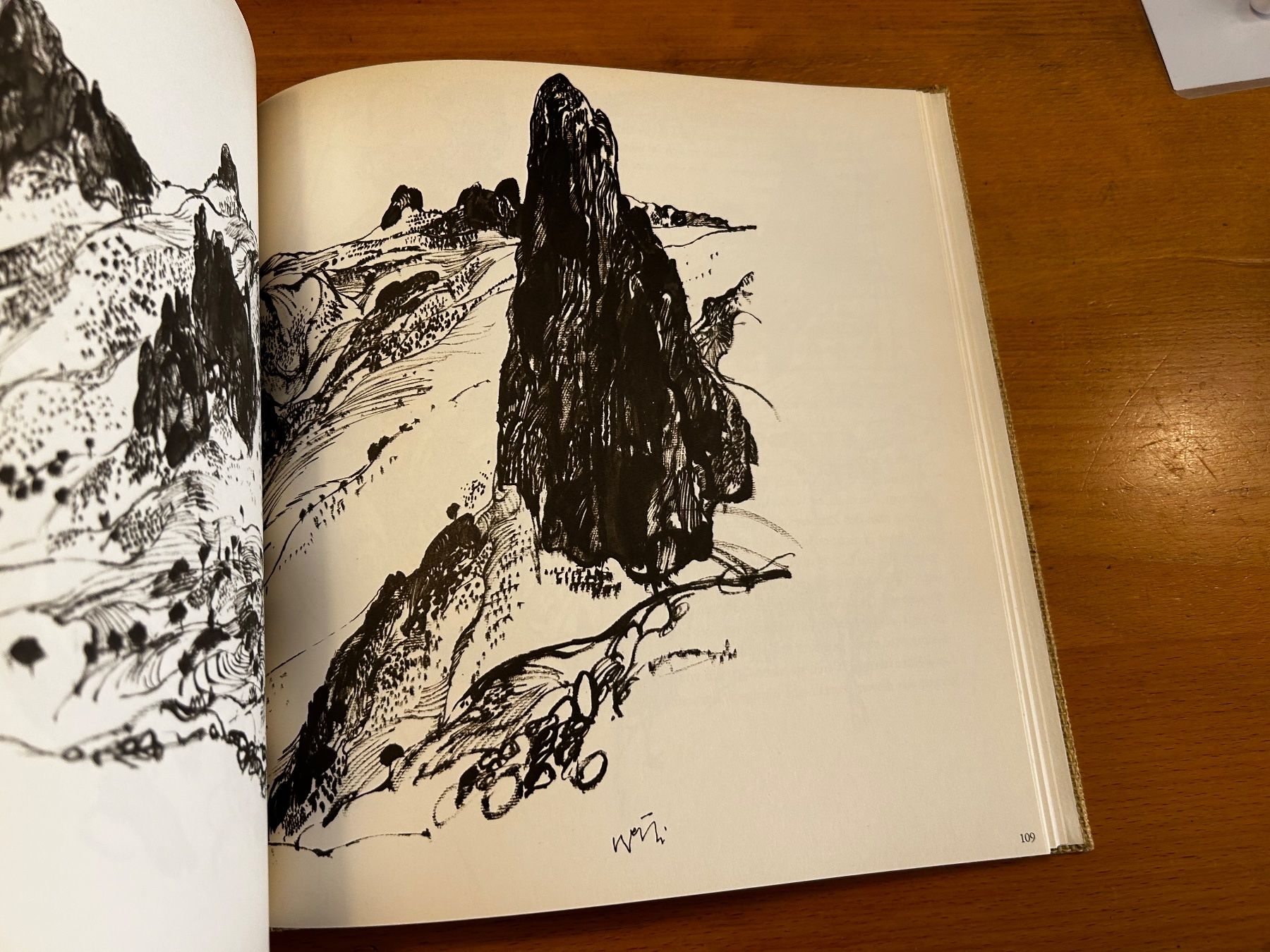 Libri: Hugo Wetli: Kamerun – Usato da Basel venduto da Peter_schlemihl 7
