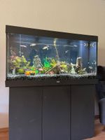 Aquarium 350 l inkl. Inhalt / Futter / Unterschrank