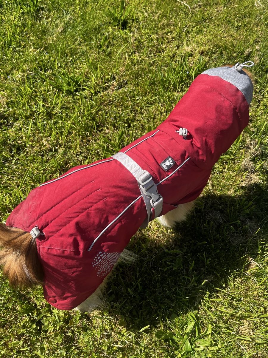 Hurtta Abbigliamento: Hundemantel Hurtta Extreme Gr.30 – Usato da Urtenen-Schönbühl venduto da eka_dhj2 1