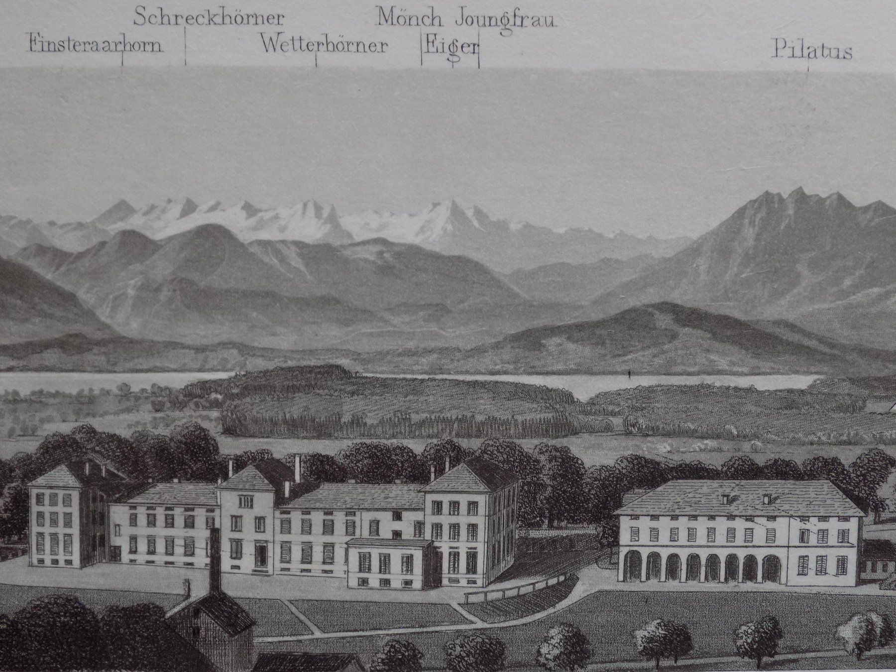 Incisioni: Albisbrunn Zürich – Usato da Risch venduto da Rischli15 1