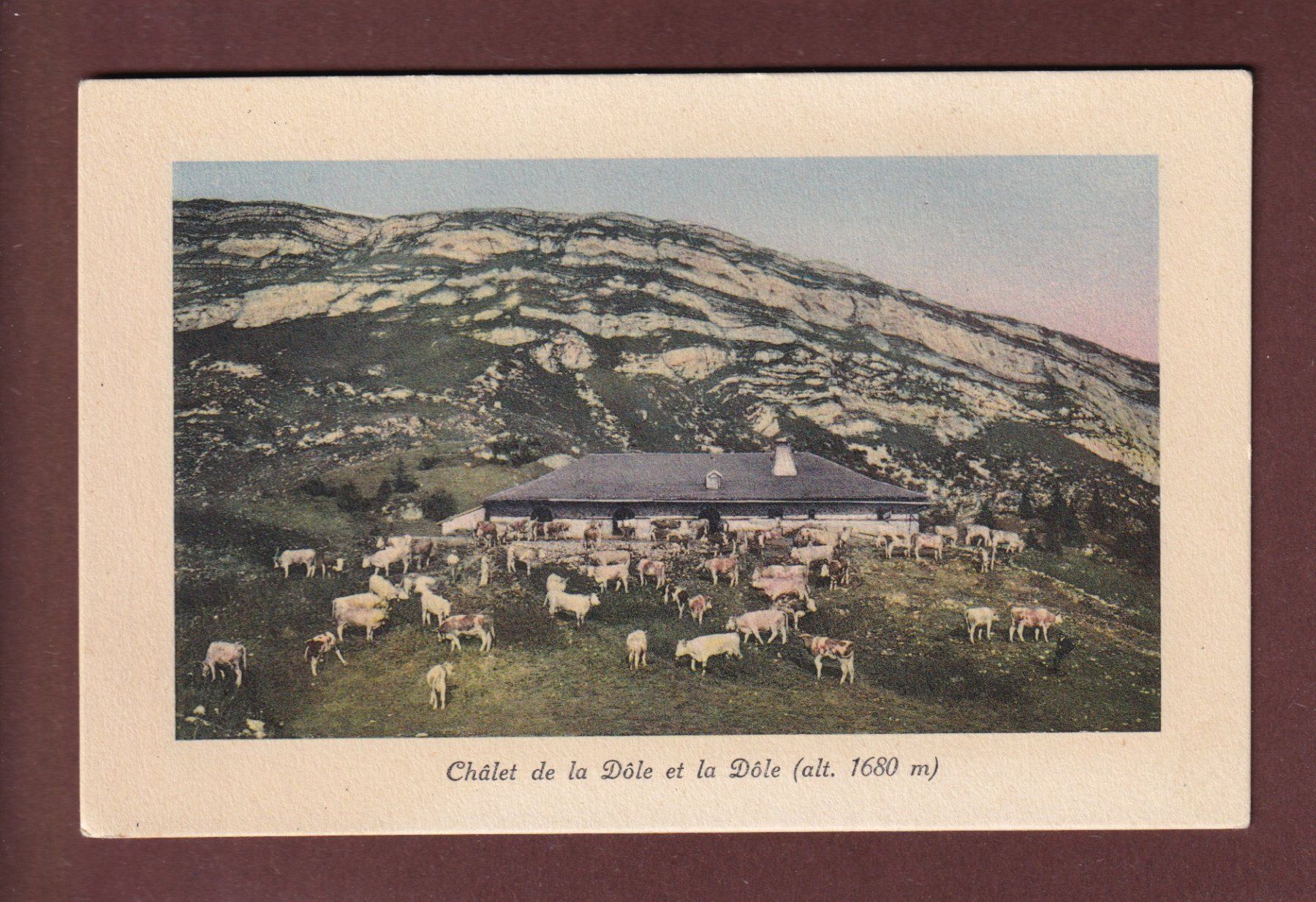 Cartes postales: Chalet de LA DÔLE – D'occasion à Pully par nicecards-shop