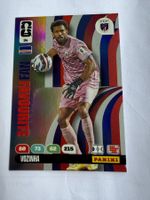 Carte FIFA Adrenalyn nr 94 VOZINHA PANINI Favourite