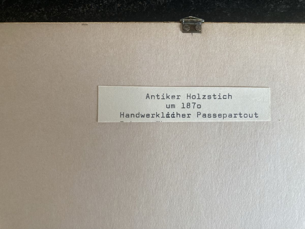 Incisioni: Antiker Holzschnitt um 1870  – Usato da Staad SG venduto da gab_7dr9 3