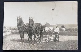 Landwirt mit Pferdegespann und Pflug Feldarbeit/ Fotokarte