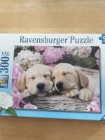 Ravensburger Puzzle XXL 300 Teile - Süsses Hunde Motiv!