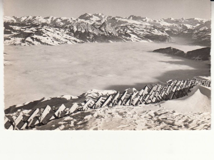 Cartoline postali: Rigi Nebelmeer 1958 – Usato da Bürglen TG venduto da StampGraf