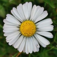 Profile image of fleur_1