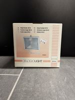 Elbrolight Budget-Strahler 300 W
