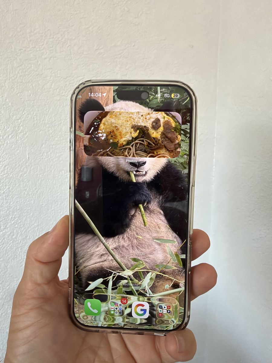 Apple Handys / Smartphones: I phone 16 Pro Max – Gebraucht aus Renan BE von aela1