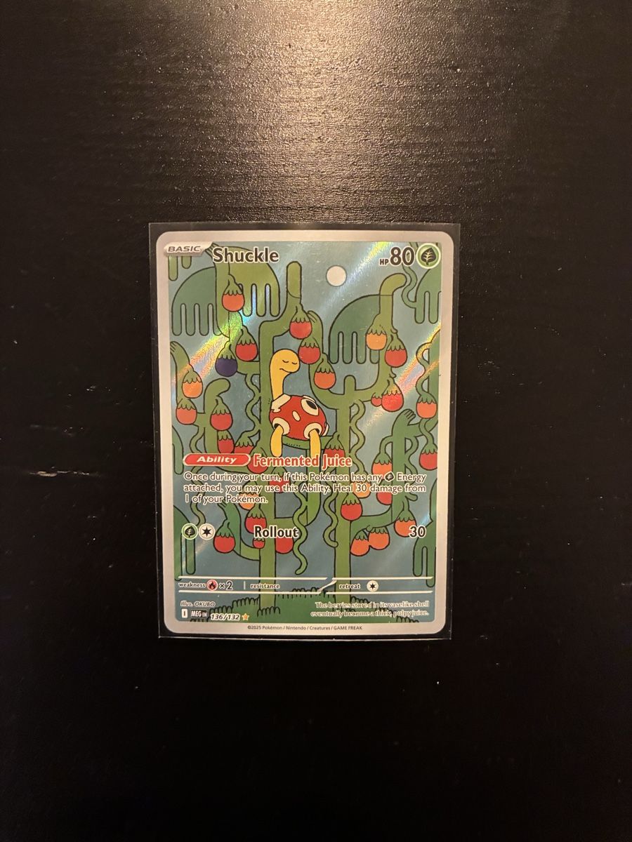 Pokémon Carte collezionabili: Pokemon Shuckle Mega Evolution Ilustration Rare – Nuovo e nell'imballaggio originale da Schlieren venduto da mutschellen8 1