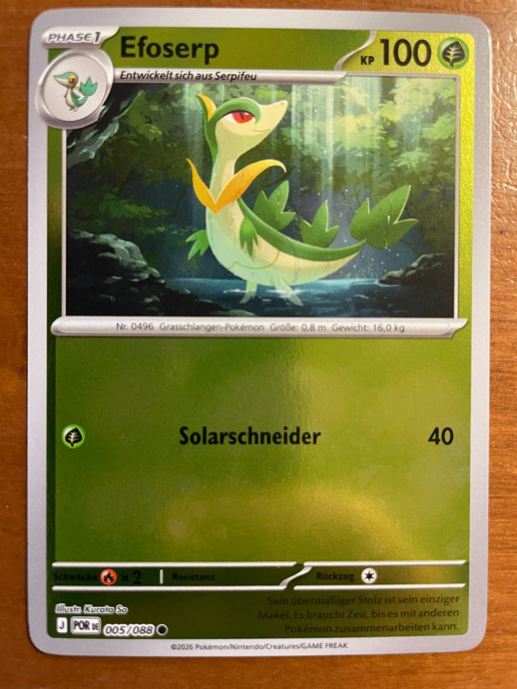 Pokémon Carte collezionabili: Pokemon Efoserp Reverse (Versand gratis) – Nuovo (secondo la descrizione) da Chur venduto da Angerson
