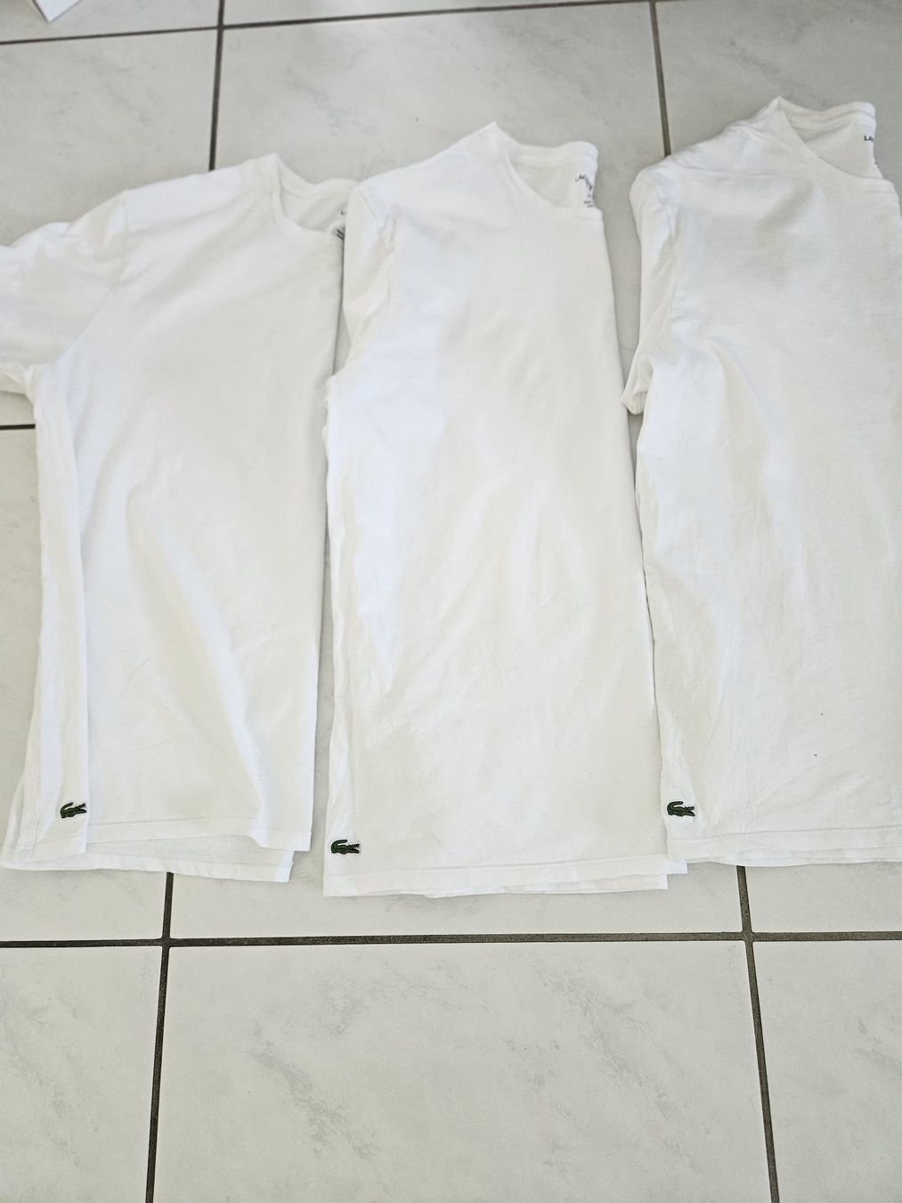 Lacoste T-Shirts: Lacoste T-Shirt  – Gebraucht aus Bassersdorf von DonSolo