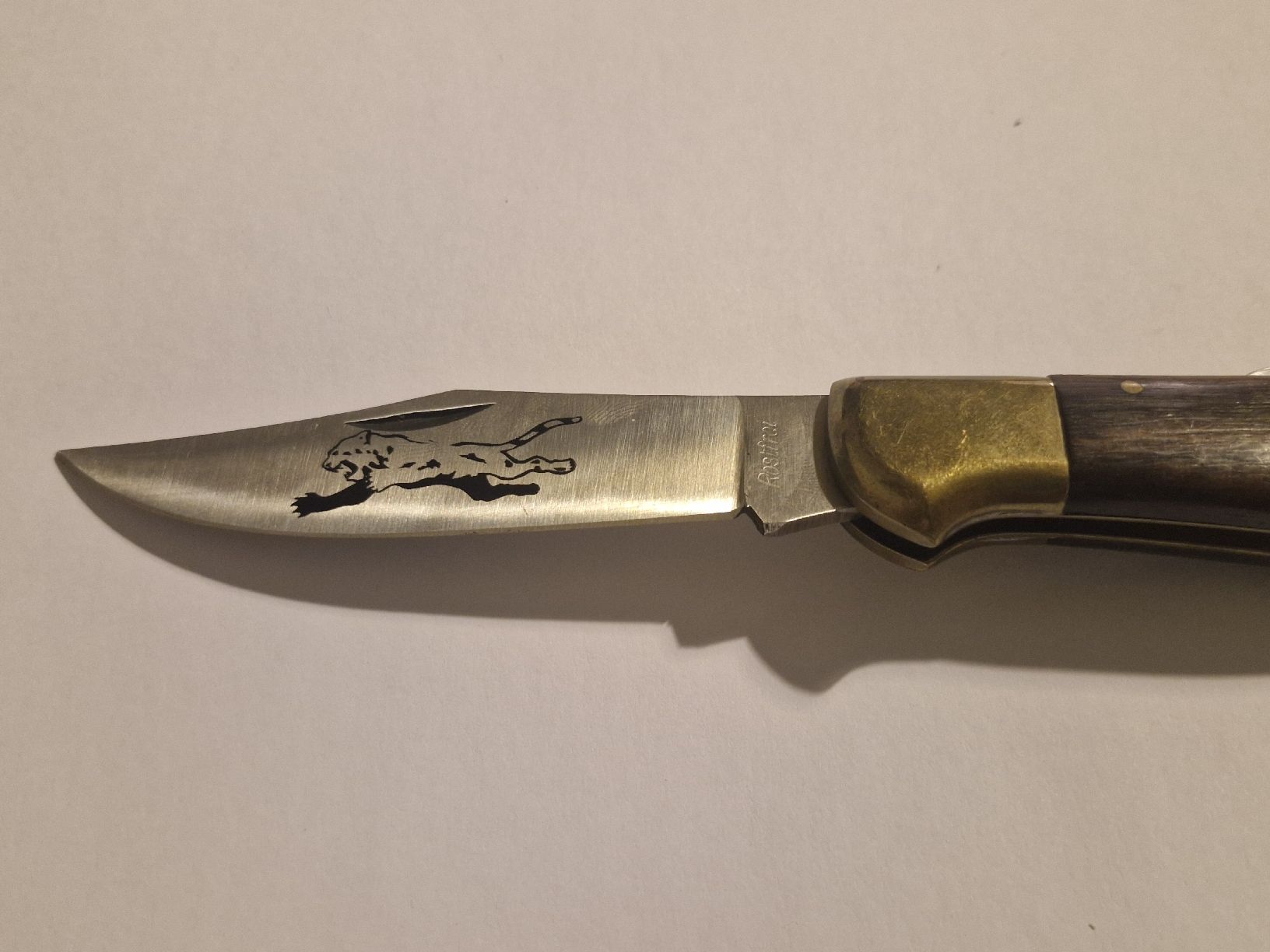 Taschenmesser: Taschenmesser robust mit Jaguarklinge – Gebraucht aus Zürich von Aisha8 2