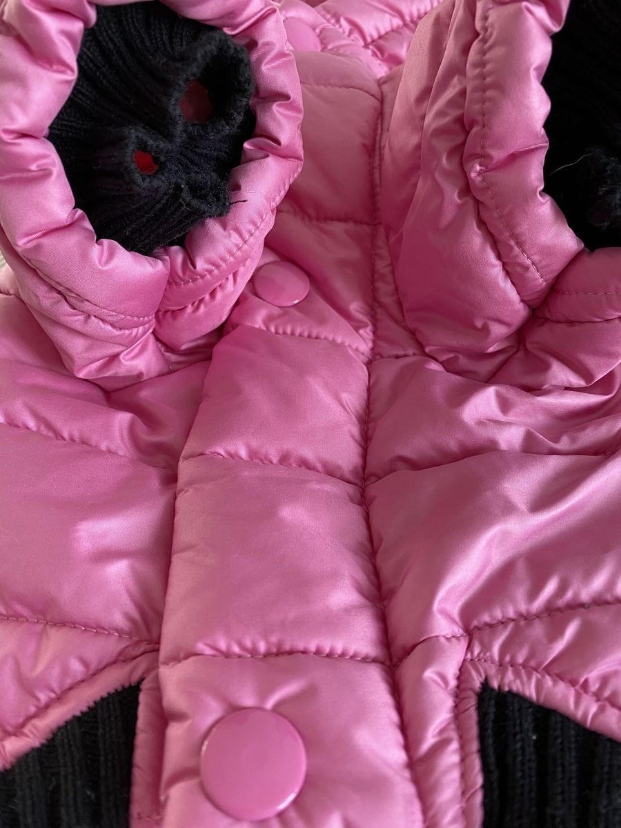 Abbigliamento: Hundejacke Rosa Benetton – Nuovo (secondo la descrizione) da Killwangen venduto da Fefy 2