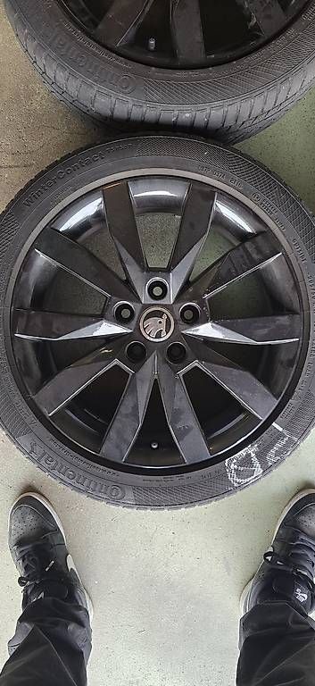 Cerchioni: Cerchi originali Skoda – Usato da Vacallo venduto da SirioDH999