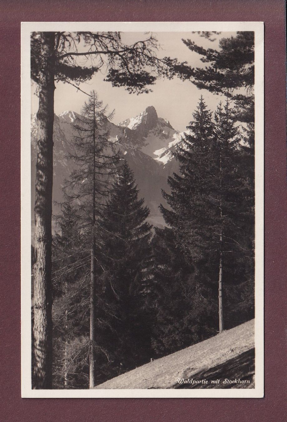 Cartoline postali: Waldpartie mit STOCKHORN - 1940 – Usato da Pully venduto da nicecards
