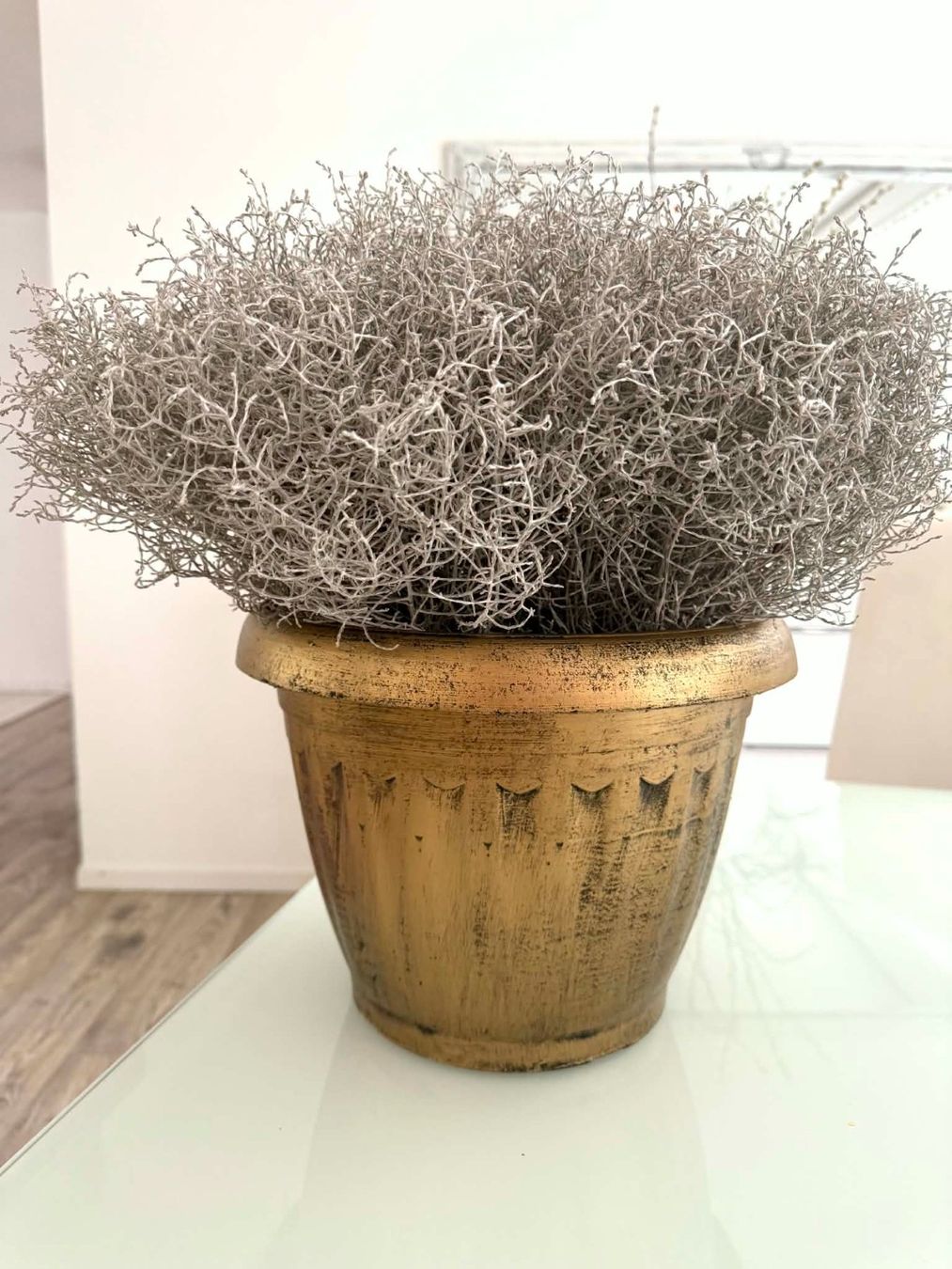 Blumentöpfe: Grössere Blumentopf – Gebraucht aus Bern von MIR-IAM 1