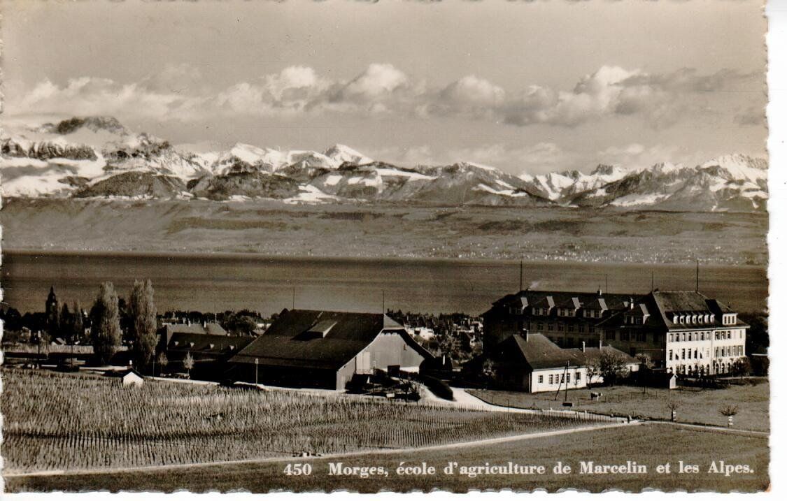 Cartes postales: Morges 1942 – D'occasion à Wolhusen par Curver9
