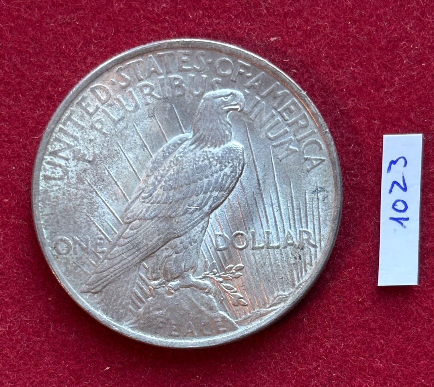 Tutti le monete: 1023 1 Dollar 1922 Silber USA – Usato da Baar venduto da bricksandmore 1