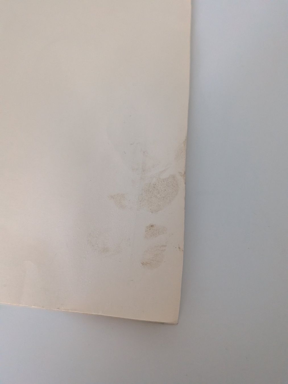 Xilografie: Holzschnitt Katze vermutlich Japan ? – Usato da Emmen venduto da magelan 5
