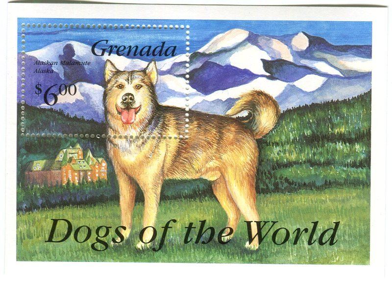 Tous les timbres: Block "Alaskan Malamute". Grenada – Neuf avec emballage d'origine à Basel par Butsch5