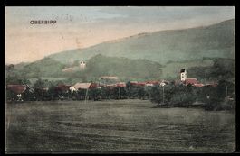 AK Oberbipp, Ortsansicht mit Schloss und Hügeln