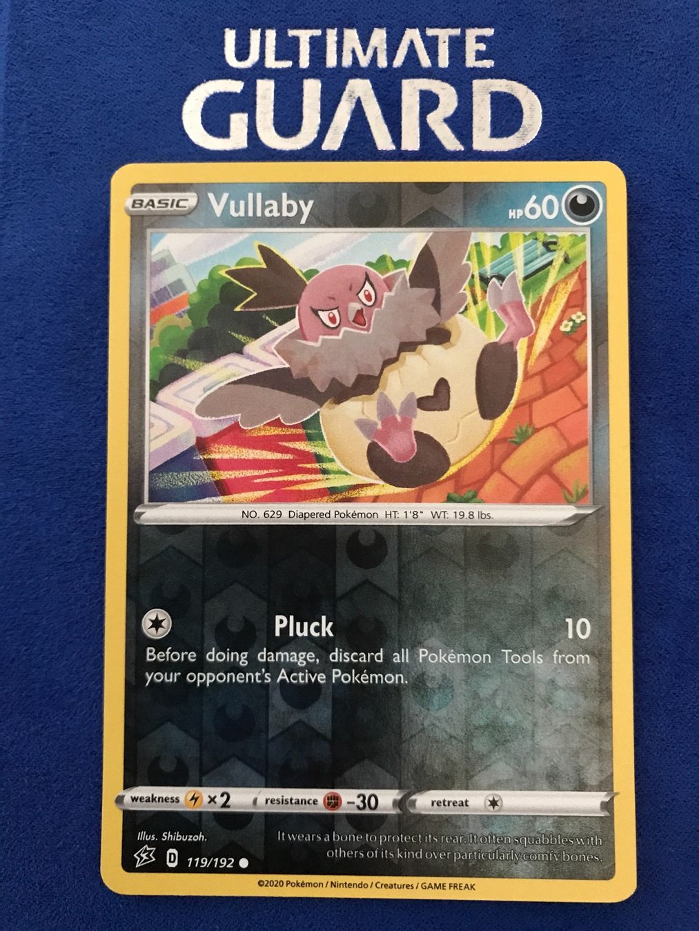 Pokémon Carte collezionabili: Pokemon TCG - Vullaby EN reverse Holo – Nuovo (secondo la descrizione) da Lyss venduto da DeaDiLuna