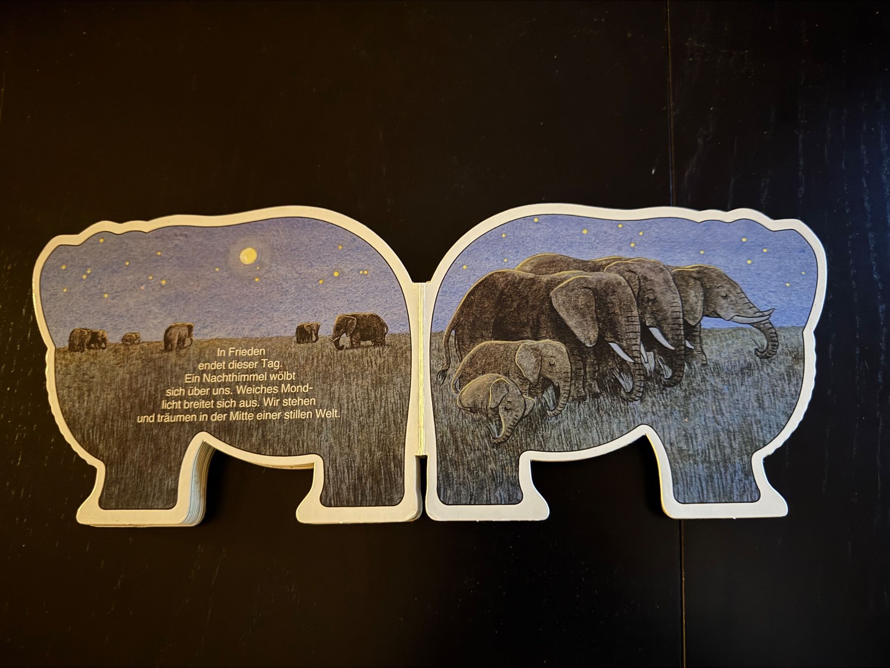 Libri: Elefant Kinderbuch "Ein Tag im Leben einer Elefantentante" – Usato da Erstfeld venduto da Uhu1980 3