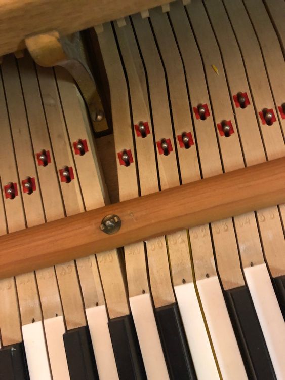 Flügel Pleyel Kaufen auf Ricardo