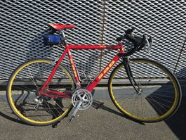 Rennvelo SAB rot mit Campagnolo Veloce Ausstattung
