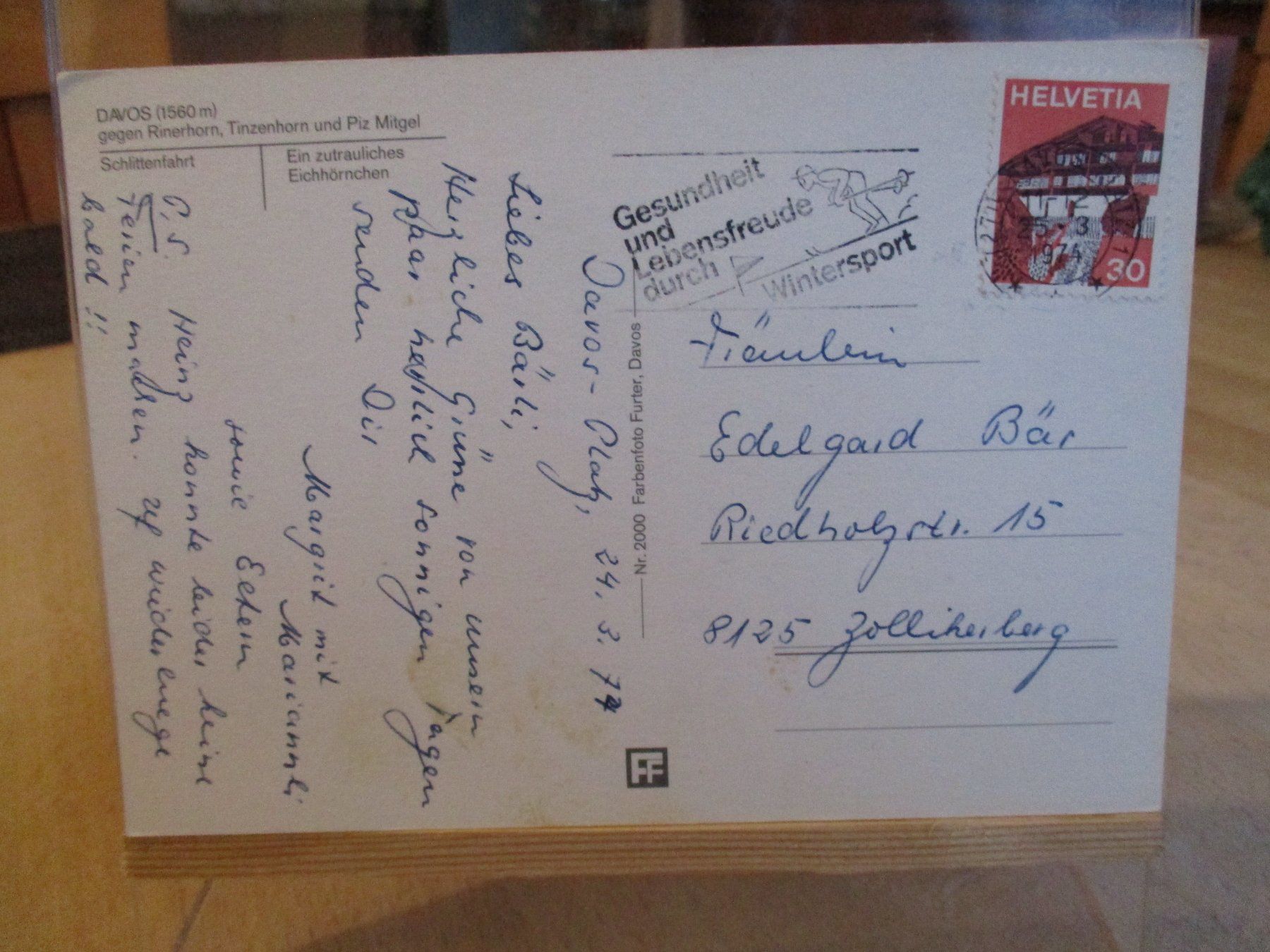 Ansichtskarten: Davos Postkarte Eichhörnchen 1974  3 – Gebraucht aus Felsberg von sanwill 1