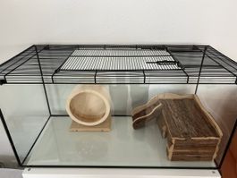 Terrarium aus Glas