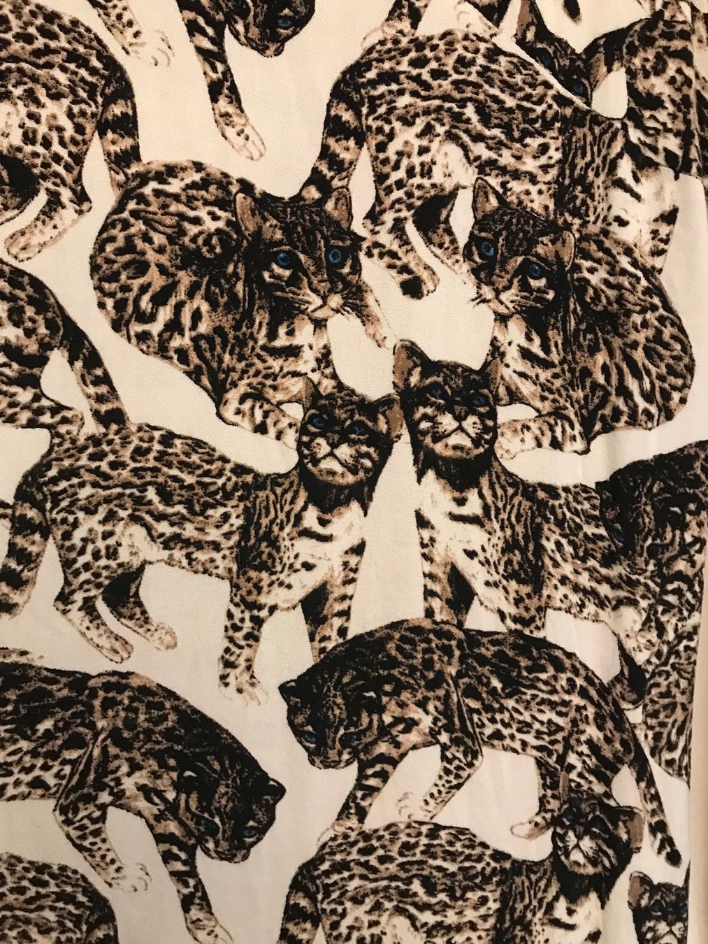 H&M Vestiti: Kleid mit Katzenprint von H&M – Usato da Uster venduto da Kalici1 1