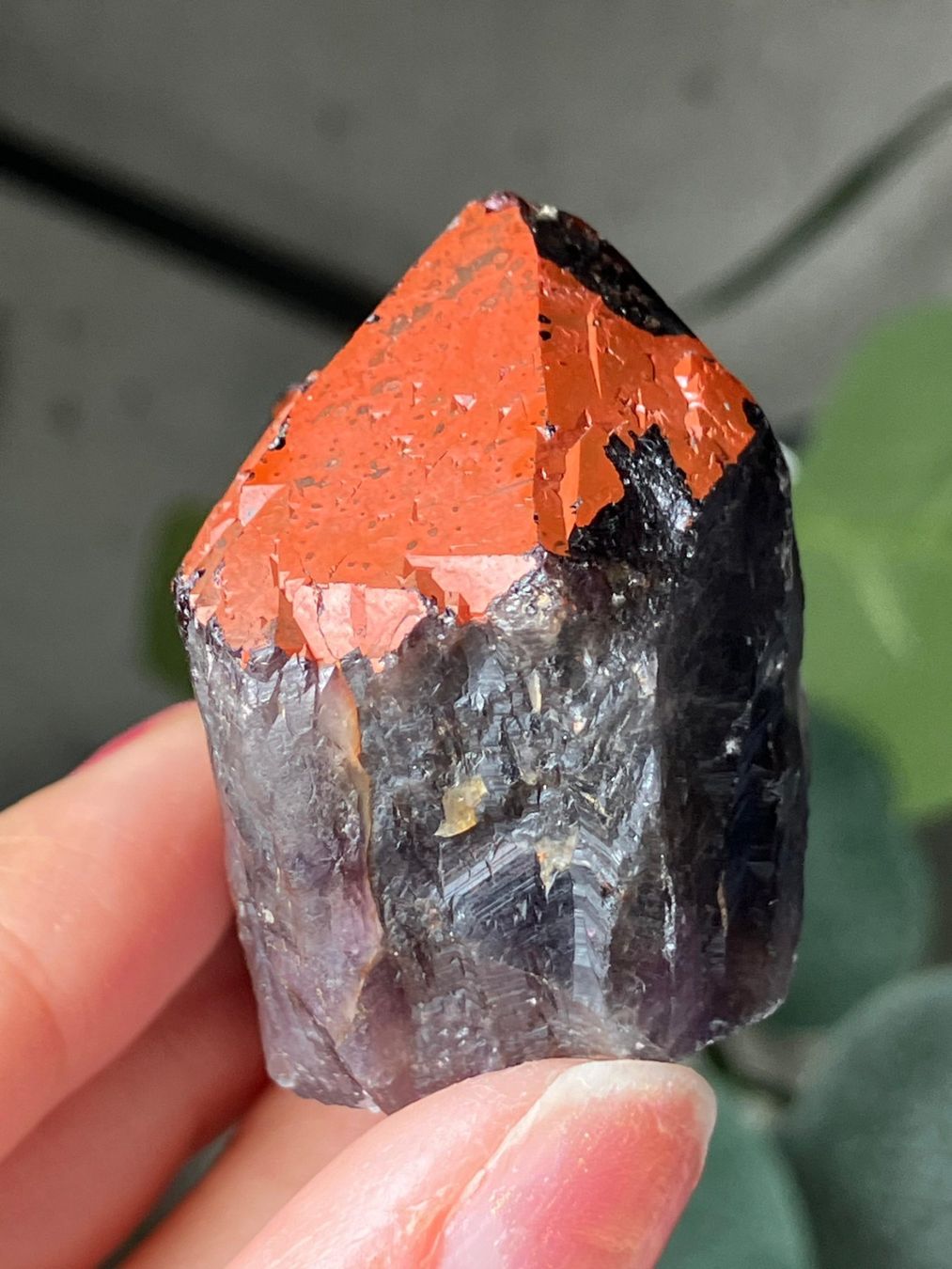 Edelsteine: Thunder Bay Amethyst – Neu (gemäss Beschreibung) aus Neuheim von m.hald 4