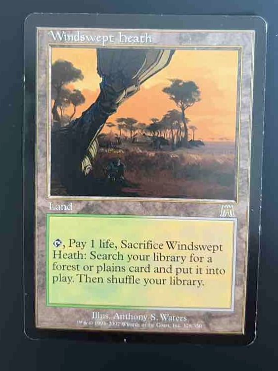 Magic The Gathering Cartes à collectionner: Windswept Heath - Magic The Gathering - Onslaught – D'occasion à Zürich par zamiduri
