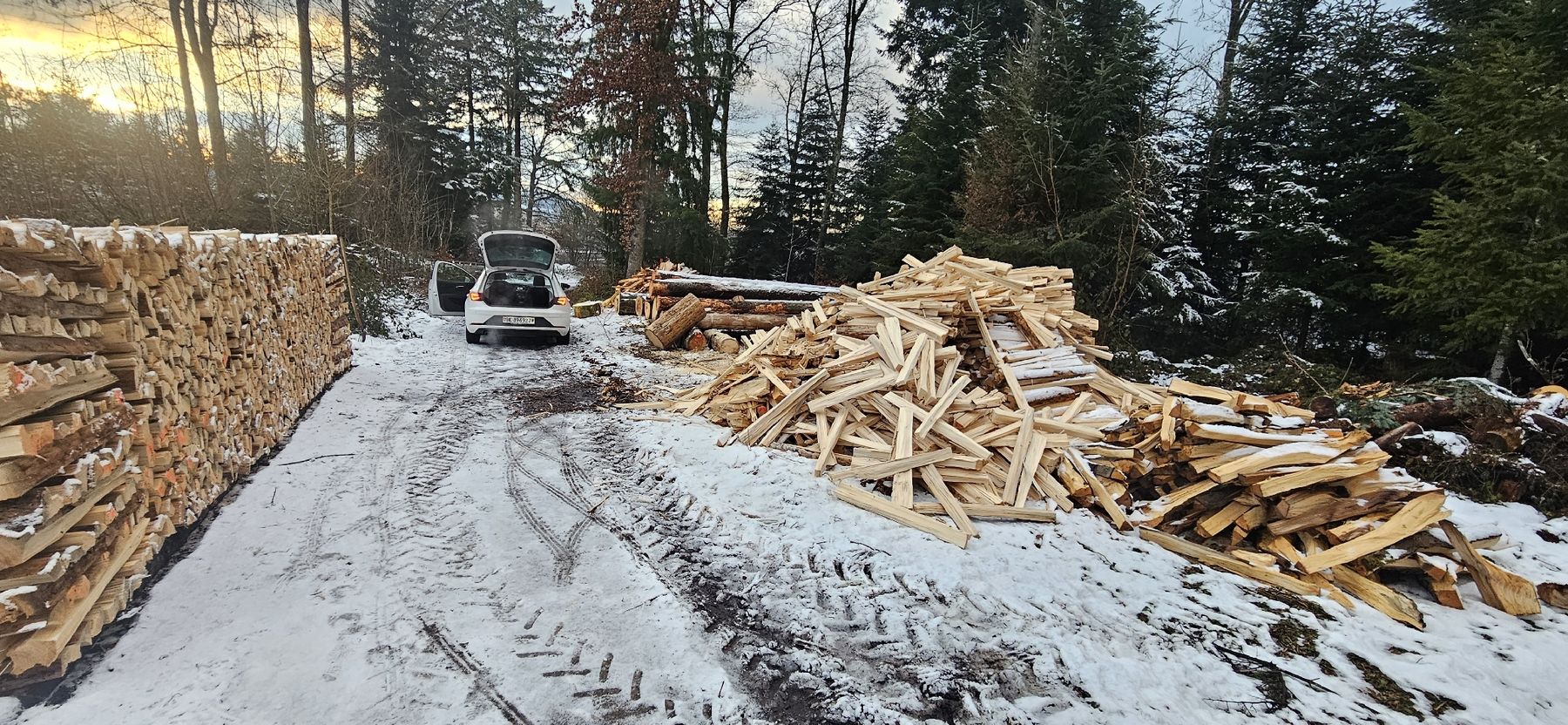 Articoli in legno: Brennholz Tanne – Nuovo (secondo la descrizione) da Vielbringen Worb venduto da lua_cm7v 3